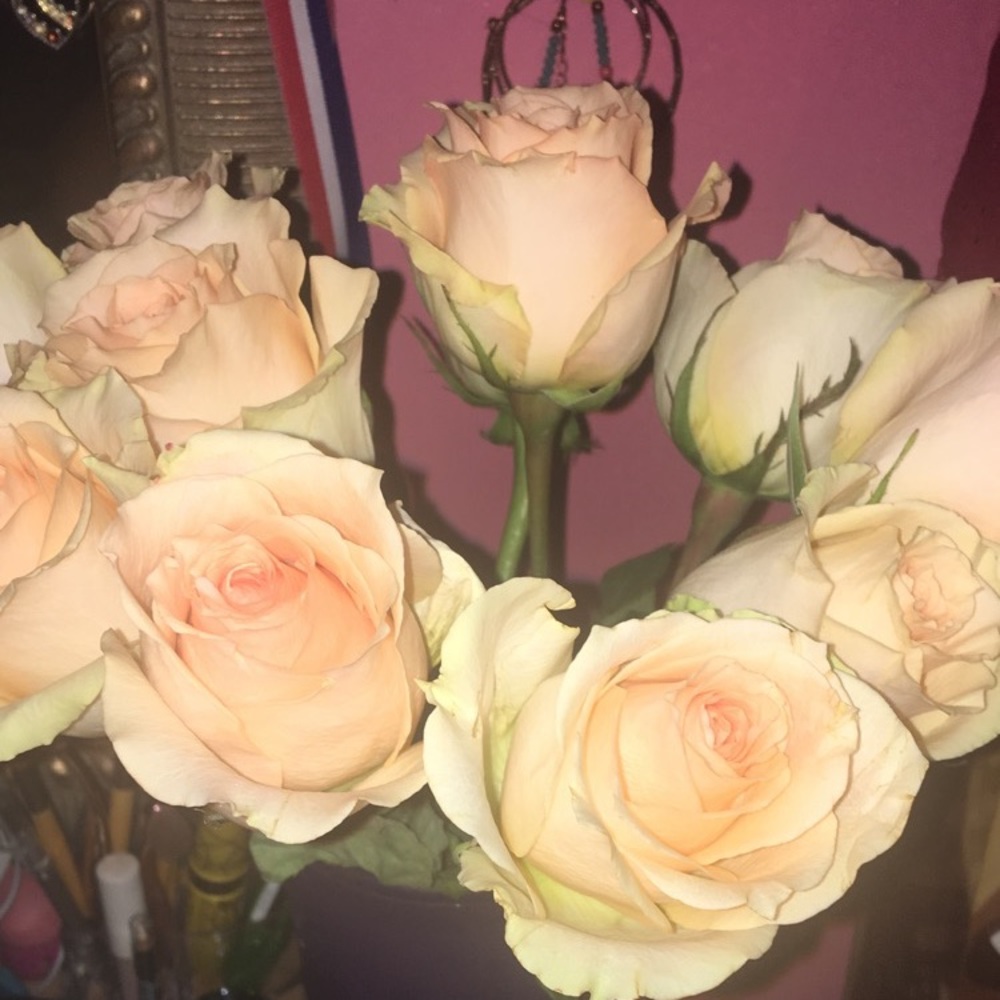 Meet your Posher, Taisha